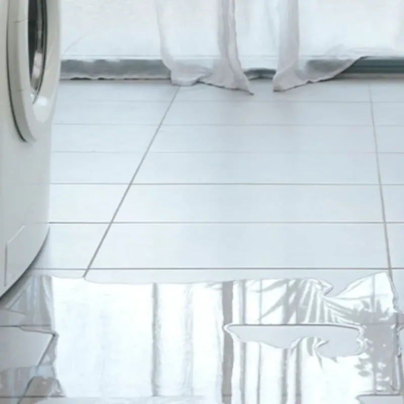 Appliance Leak Cleanup in Breckenridge, MI
