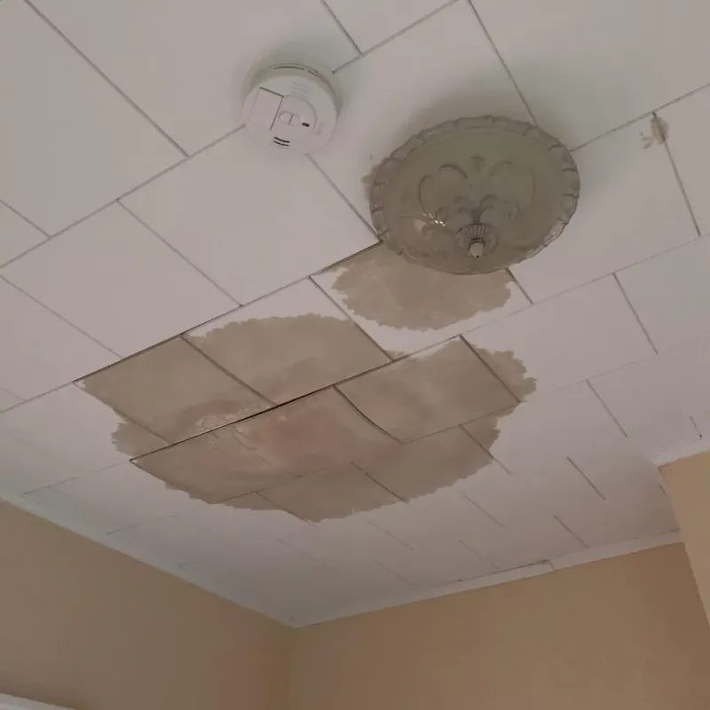 Ceiling Water Damage Repair in Breckenridge, MI