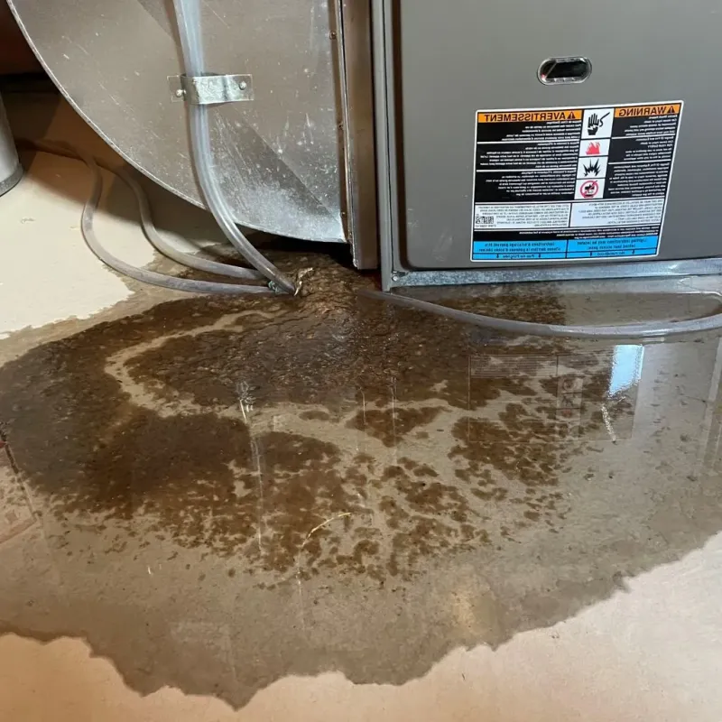 Pipe Burst and Leak Restoration in Breckenridge, MI