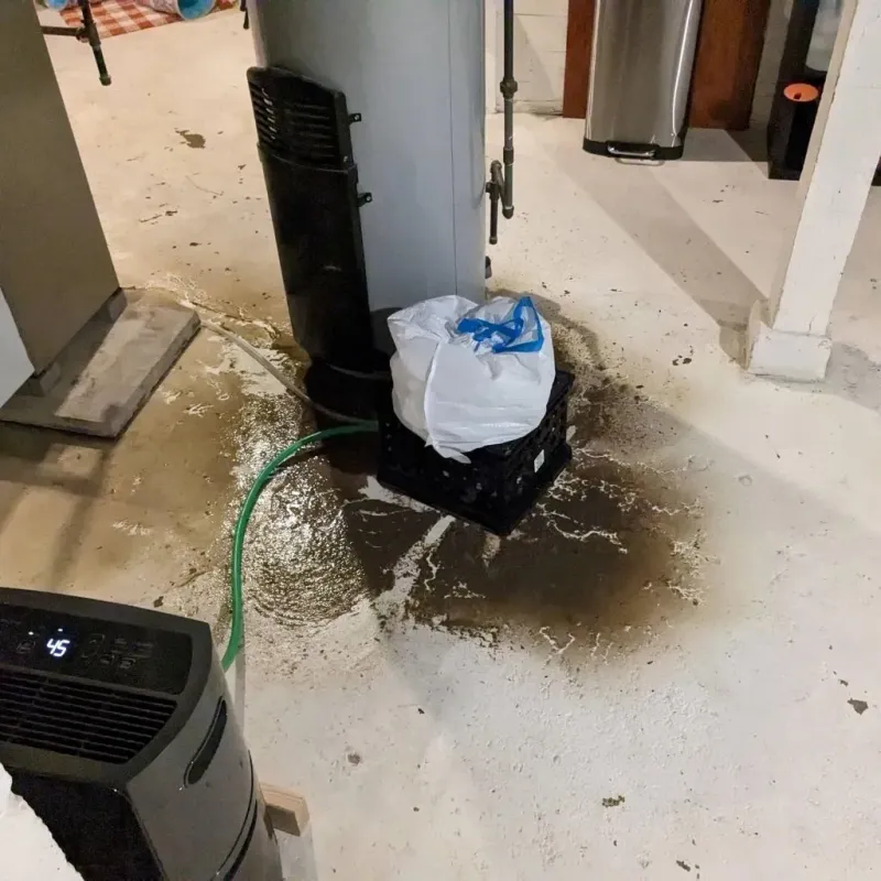 Sewage Backup Cleanup Service in Breckenridge, MI